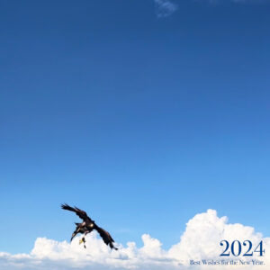 2024年 謹賀新年 株式会社アリー